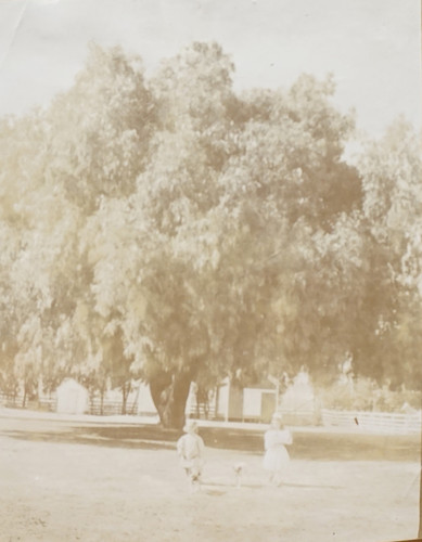 Two Girls with Dog in Front of Pepper Tree