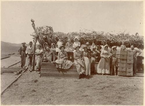 Apricot Pitting Shed and Crew