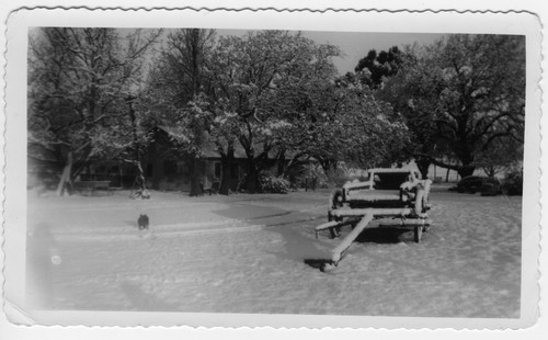 Newbury Park Snow Scene