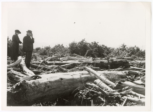 Aftermath of 1938 Sespe Creek Flood