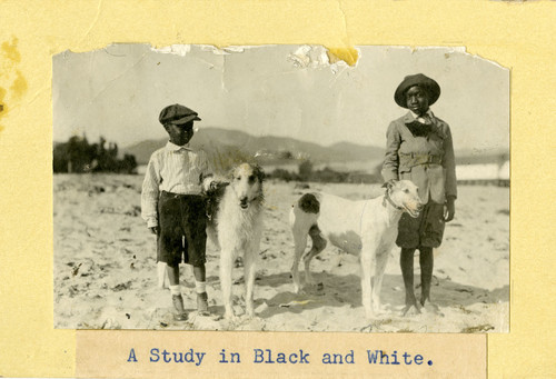 Children and Dogs on Beach