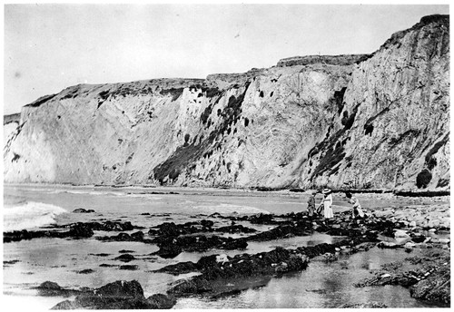 Group of People among Tide Pools