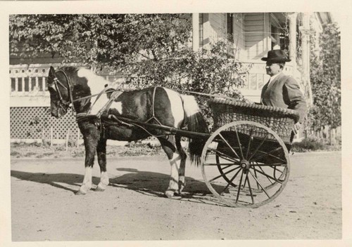 Adolfo Camarillo Riding Horse-drawn Cart