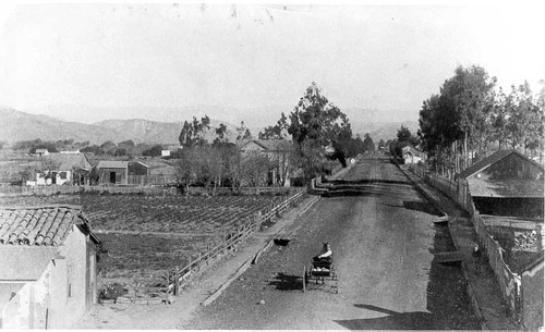 Ventura Avenue, 1880