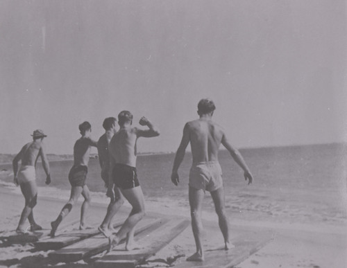 Group of Surfers at the Beach