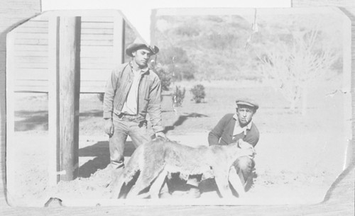 Two Men with Mountain Lion