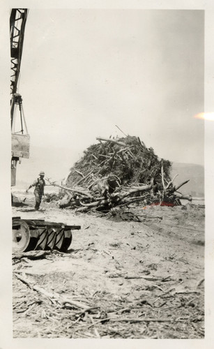 Pile of Debris Ready for Removal