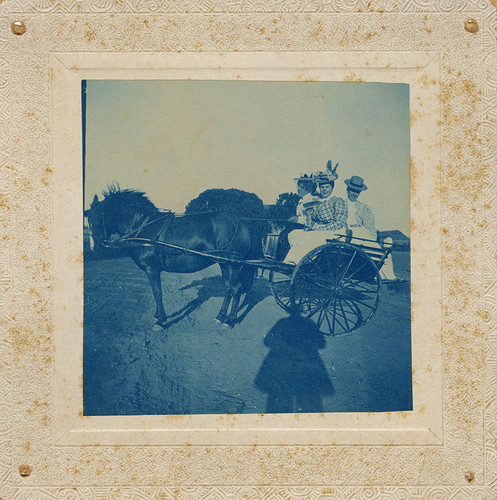 Women in Pony Cart