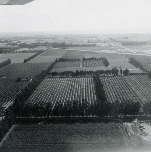 Wooley Road and Estate Property Landscape