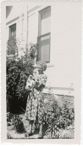 Nellie Daily Holding Siamese Cats