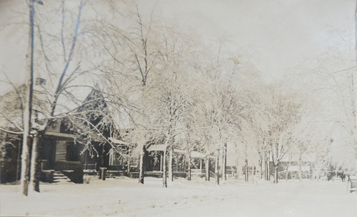 Tree Lined Street Covered in Snow