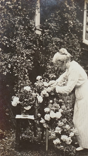 Mrs. Daily Tending to Her Roses