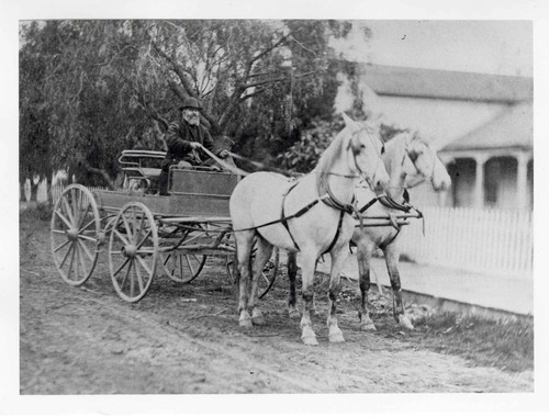 L. D. Roberts with his Team and Wagon