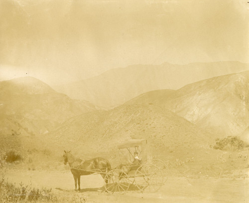 Horse-Drawn Buggy on Fillmore Grade