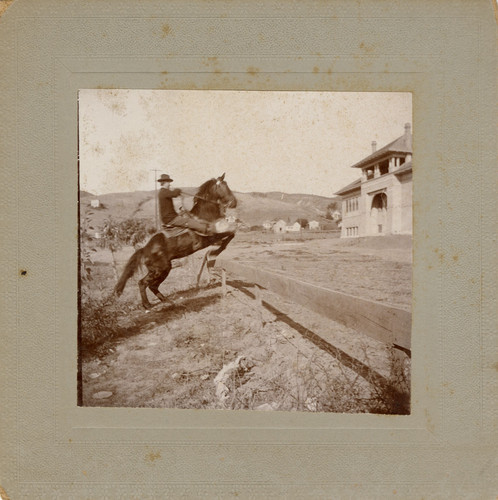 Man on Horseback Jumping Fence