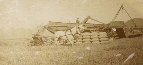 Man on Horse Driven Carriage in Front of Threshing Machine