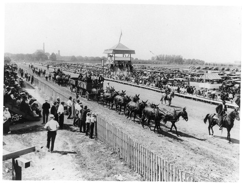 Mule Team and Wagons