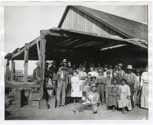 Falkner Farm Apricot Pitting Crew