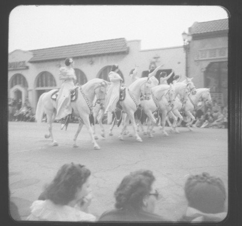 Camarillo White Horses on Parade