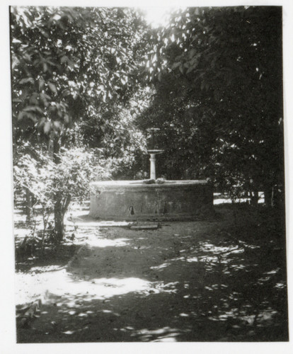 Fountain Among the Trees