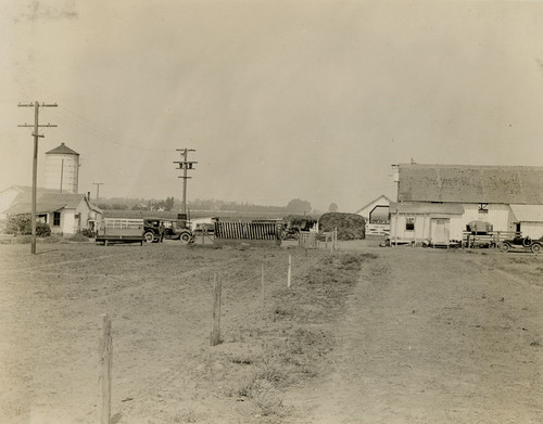 Farm Scene in Oxnard