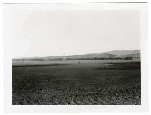 Northwest View from L. P. W. Co Reservoir