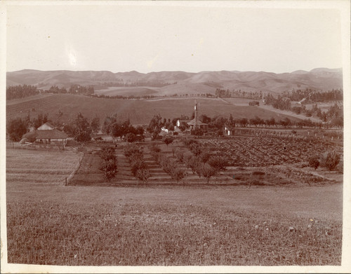 Farm Scene