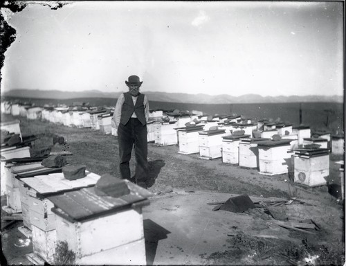 Samuel Miller Woodsen Easley Among Beehives