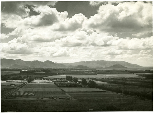 Bird's Eye View of Oxnard Plain from Camarillo Heights