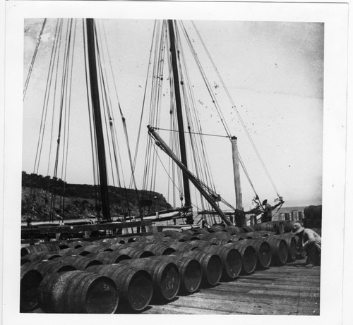 Wine Barrels Lined up on Wharf