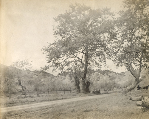 Ventura Avenue Road Scene