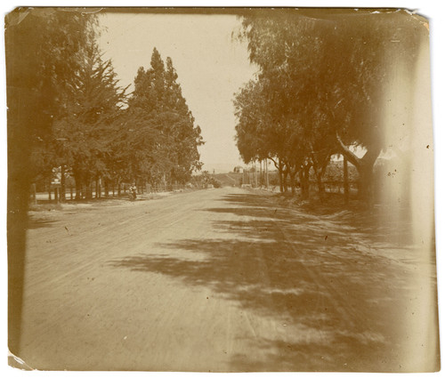 Ventura Avenue, looking North