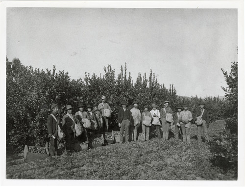 Blanchard's Picking Crew, Santa Paula