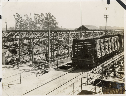 Beet Storage and Freight Cars at Oxnard Sugar Factory