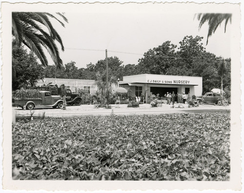 C. J. Daily and Sons Nursery, Camarillo