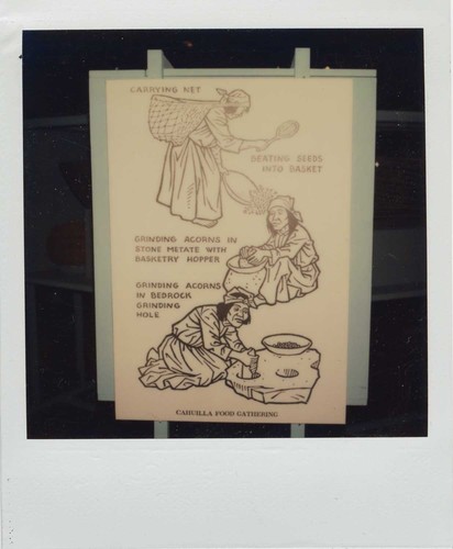 Poster of Cahuilla Food Gathering