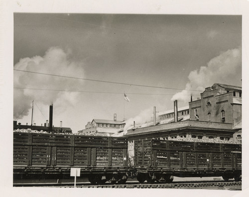 Freight Cars at Oxnard Sugar Factory