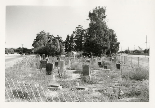 Japanese Cemetery