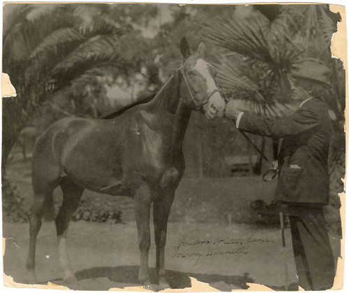 Harry Barnett and His Horse