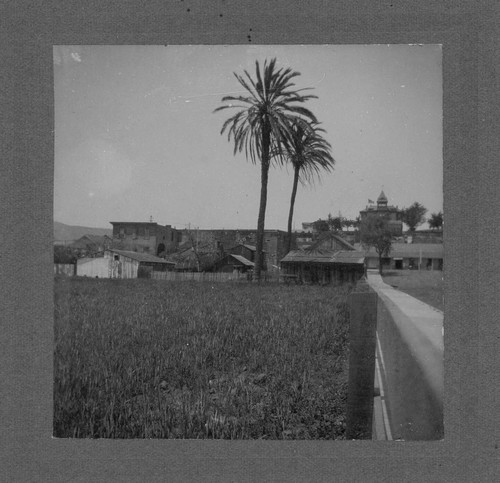 Mission Palm Trees and Garden