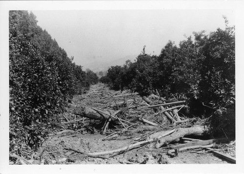 St. Francis Dam Flood Damage