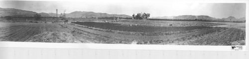 Perry Ranch Company Panorama