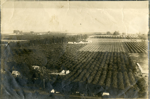 Limoneira Ranch, Bird's Eye View