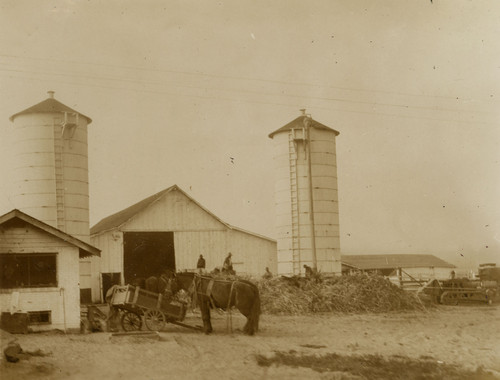 Farm Scene with Silos in Oxnard