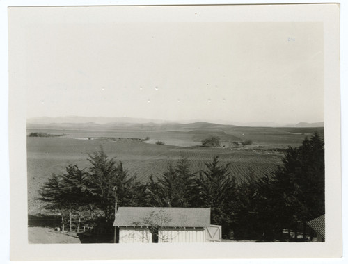 East View from L. P. W. Co Reservoir