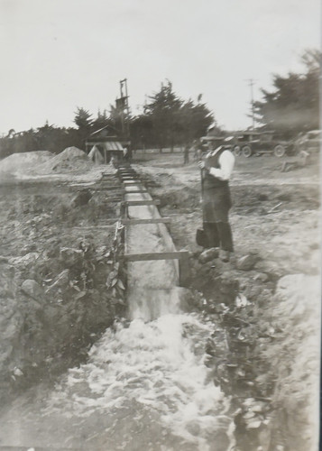 E. W. Daily Irrigating Field