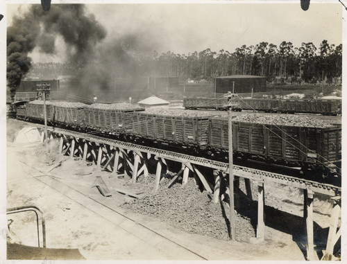 Freight Cars Full of Beets at Oxnard Sugar Factory