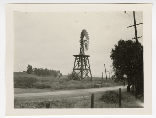 L. P .W. Co. Windmill and T. G. Bard House