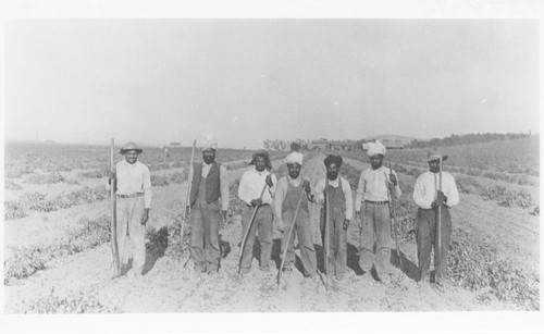 Hindu Bean Pilers Group Photo