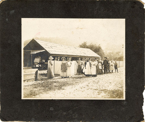 Apricot Pickers on the Staire Ranch